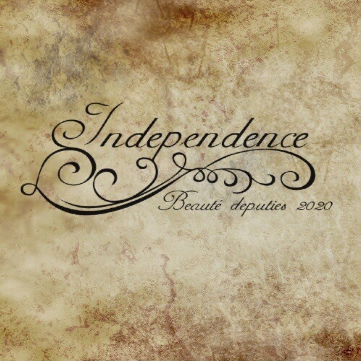 logo_image